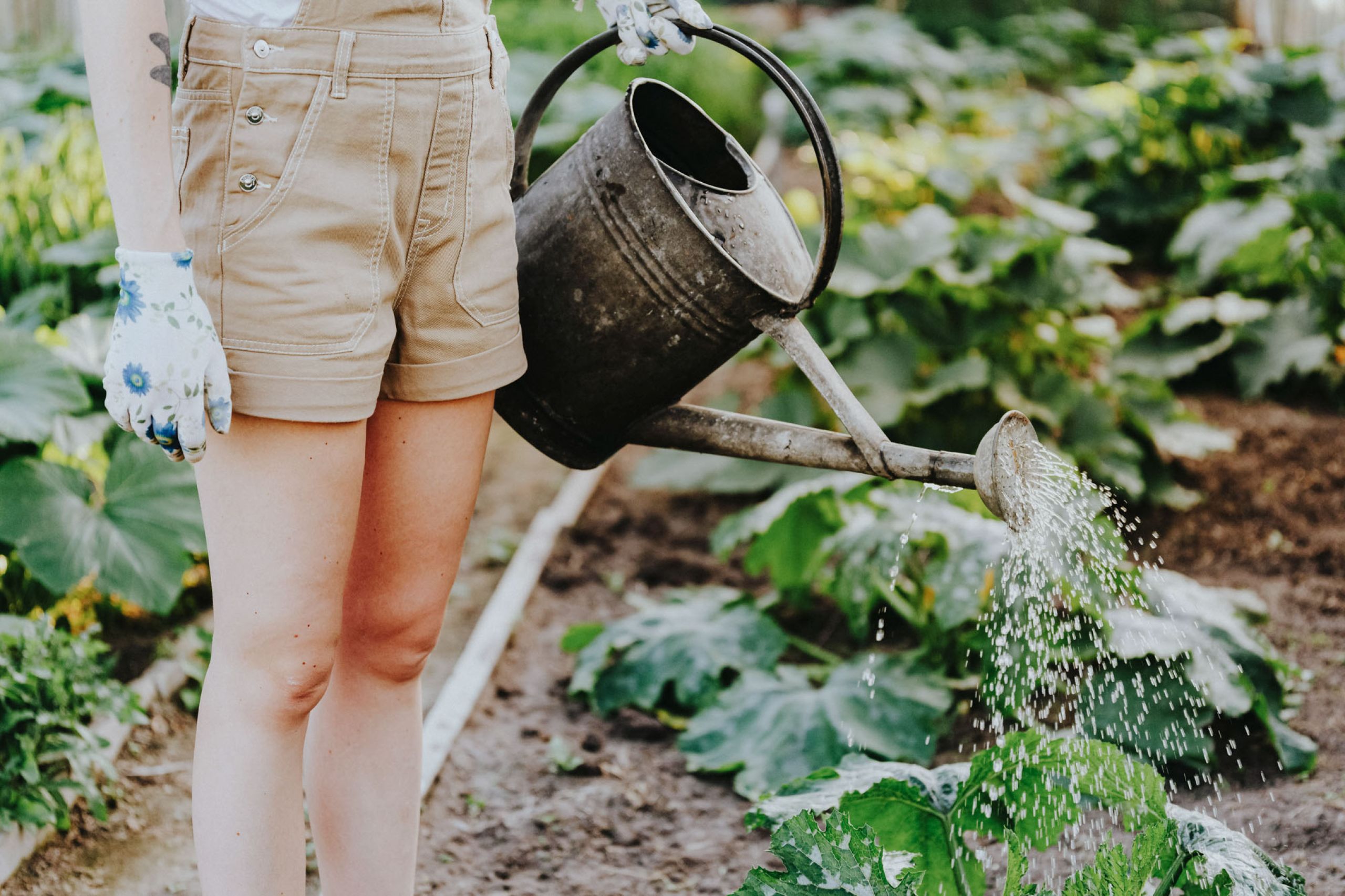 Viridian Central A woman in overalls watering plants in a garden.