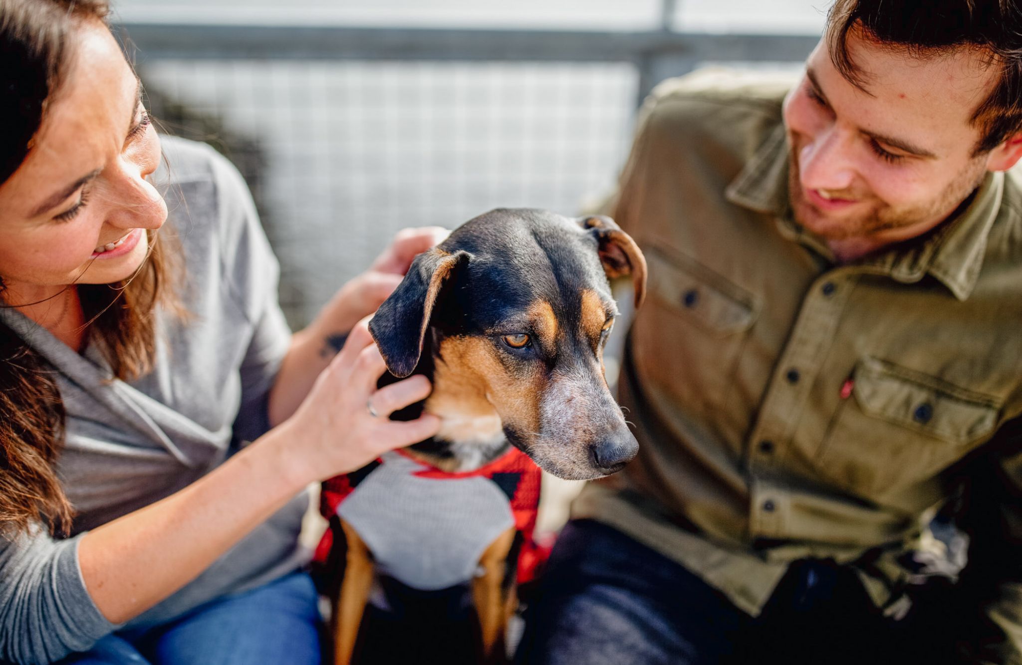 Viridian Central Couple affectionately petting a dog outdoors.