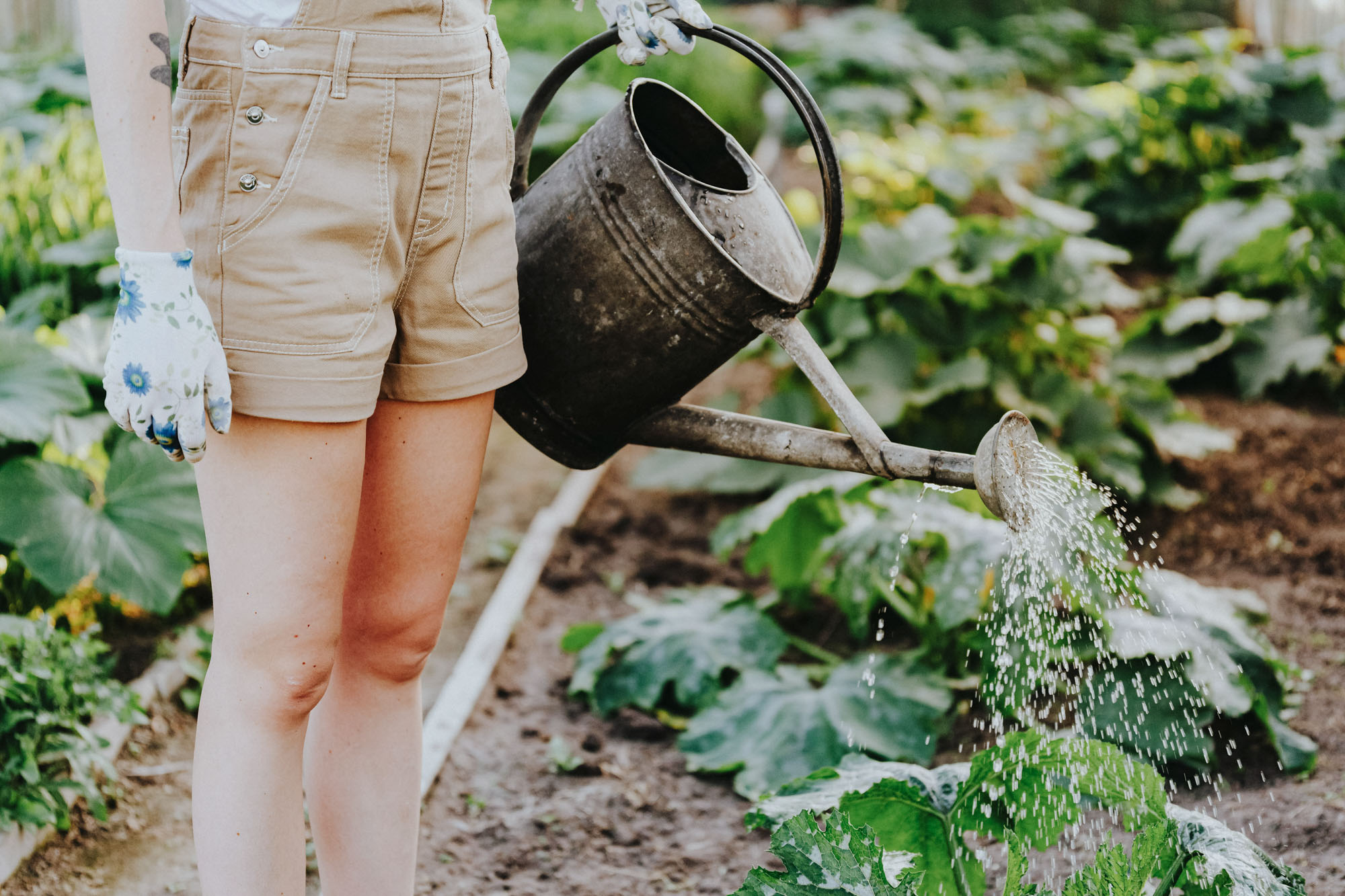 Viridian Central A woman in overalls watering plants in a garden.